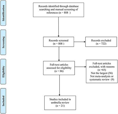 The Potential Effect of Metformin on Cancer: An Umbrella Review